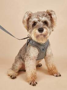 1pc Pet Harness & 1pc Leash Set