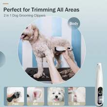 1 套 2 件装宠物电动剪毛器带 LED 显示屏可充电，低噪音宠物电动修剪器美容套装适用于狗和猫，专业宠物美容剪电动毛发剪套装