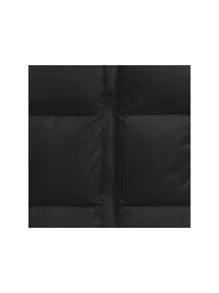 女款 1996 復古 Nuptse 背心輕盈黑色戶外羽絨背心 NF0A3XEPLE41 - 黑色 - 查看 5