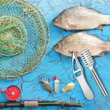 4pcs/Set Stainless Steel Fish Scale Remover With Anti Slip Handle Design, Fish Scale Planer, Professional Seafood Processing Scraper Tool With Serrated Edge, Kitchen Fish Cleaning Tool Suitable For Cooking And Catering - 4PCS 刮魚鱗神器 - 查看 3