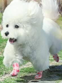 1 Pc Non-Woven Self-Adhesive Pet Wrap Bandage For Outdoor Use, Suitable For Feet Protection, Simple Bandaging, Sports Protection, Joint Protection, Features: Elastic Stretch, Comfortable Breathable, Compression Protection, Non-Stick To Fur, Self-Adhesive Easy Tear, Material: Non-Woven Fabric, Suitable For All Dog Breeds, Size: 5*450cm, 7.5*450cm, 10*450cm