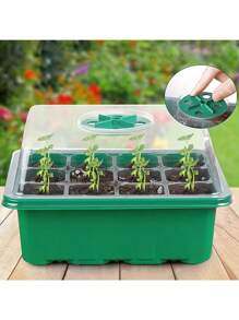 用于种植花园的 12 格育苗托盘 - 包括盖子、隔热层和保湿板，以实现最佳发芽效果！ - 綠色 - 查看 1