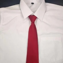 1pc Men's Slouchy No-Tie Zipper Polyester Necktie, Casual Wear And Party Gift Accessory Suitable For Shirts