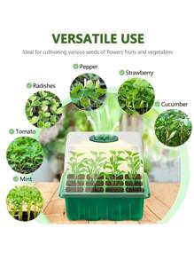 用于种植花园的 12 格育苗托盘 - 包括盖子、隔热层和保湿板，以实现最佳发芽效果！ - 綠色 - 查看 9