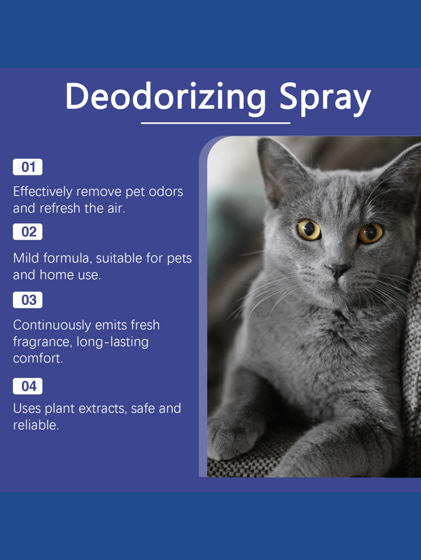 Détachant Dr. Beckmann Pour Taches Et Odeurs D'animaux - Flacon 650 Ml, élimine Les Taches Et Neutralise Les Odeurs