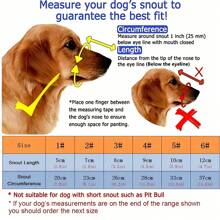 Museau de chien en plastique souple, nouveau museau de chien en plastique anti-morsure, masque pour animaux de compagnie