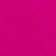 Rosa Fucsia