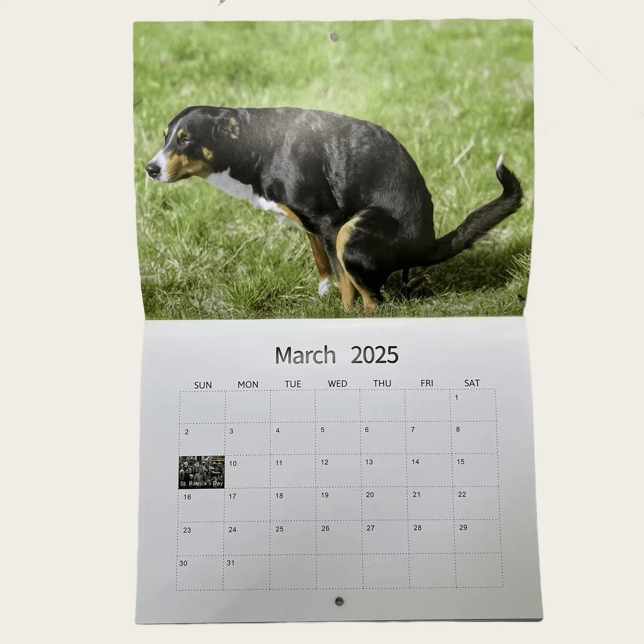 2025 Humorous Dog Pooping In Beautiful Places Calendar Wall Hanging