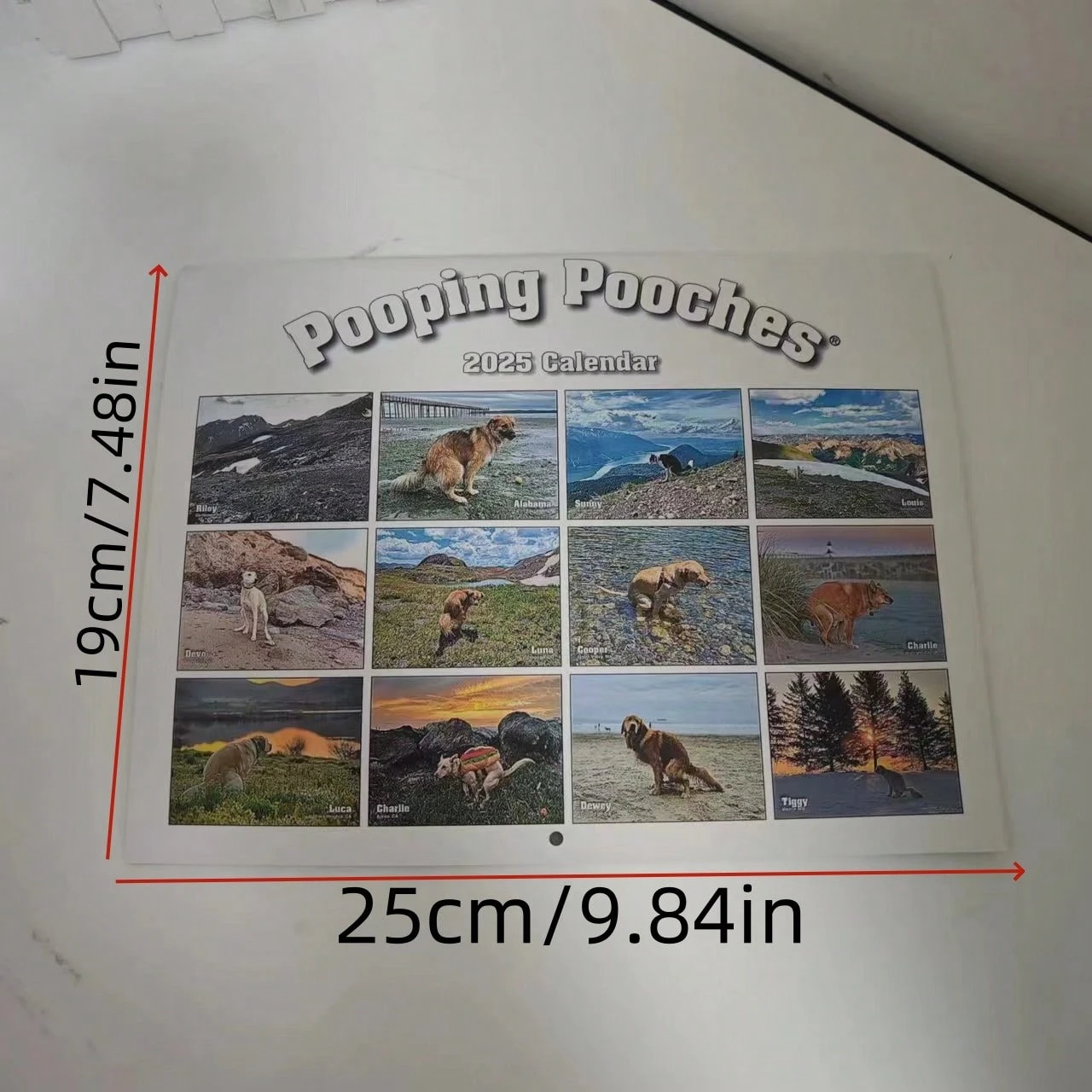 Calendario Agenda 2025 Con Cuccioli Di Cani - 22x44 Cm, Divertente E Pratico - Foto 2