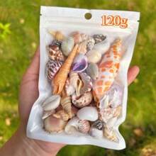 60, 120g/Bag Red Charm Shell Sand Pen Snail Tower Snail Various Shell Snails Fish Tank Decoration Home Decor Shooting Props Charming Glossy Shell Snail Best Gifts Birthday Graduation