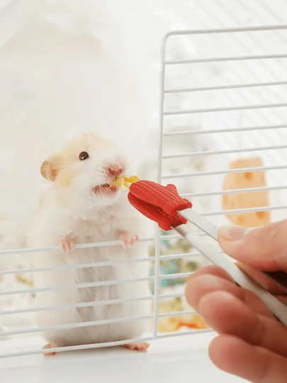 可爱的仓鼠喂食夹，金仓鼠零食喂食镊子，面包虫零食互动趣味迷你玩具