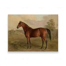 1 peça Galeria de arte de parede em inglês, impressão vintage, paisagem de mansão, cavalo, pôster, pintura em tela para sala de estar, decoração de casa, fazenda, sem moldura - Multicolorido - Ver 15