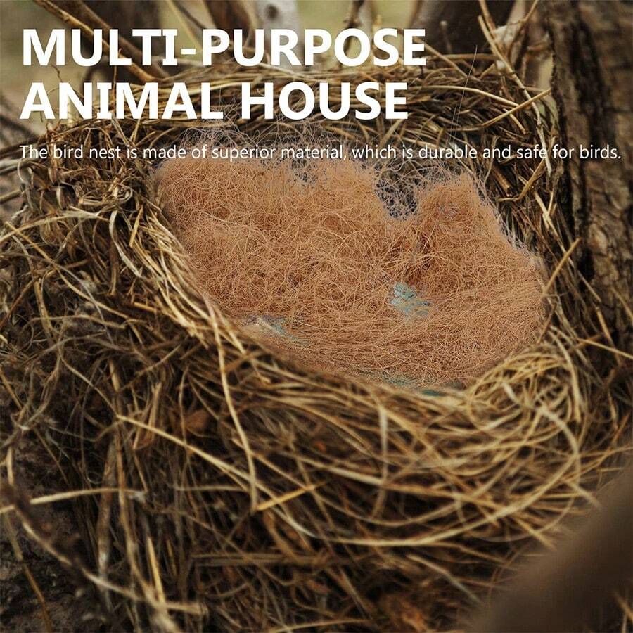 Tappi Per Orecchie Planet Waves D'Addario - Riduzione Rumore 12dB Per Musicisti - Foto 11