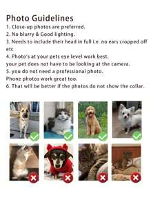 1pc Customized Royal Pet Portrait Poster, Pet Couples Luxury Portrait Poster, Printable Wall Decor Memorabilia, Gift For Family, Couple, Friends, Holiday, Birthday, Unframed Gifts Graduation