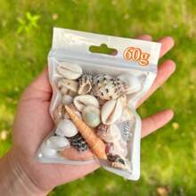 60, 120g/Bag Red Charm Shell Sand Pen Snail Tower Snail Various Shell Snails Fish Tank Decoration Home Decor Shooting Props Charming Glossy Shell Snail Best Gifts Birthday Graduation