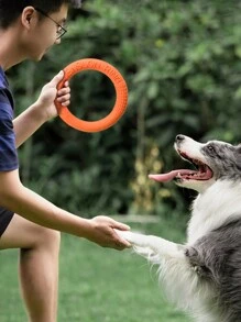 1pc Dog - An Interactive Toy For Training, Tug-Of-War, Chewing And Water Fun - Suitable For Outdoor Play, Can Be Used As Dog Toy, Training Ring, Sturdy And Chewable, Also Serves As Pet Retrieval Toy, Pet Floating Ring, Suitable For Training And Cleaning Teeth Of Medium And Large Dogs, Also A Dog Swimming Pool Floating Toy - Multicolor - View 4