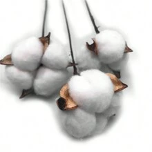 10 件人造茎、木棍、假植物茎、人造农舍花瓶装饰、DIY 花束、乡村家居花卉装饰、婚礼中心装饰、情人节、生日毕业礼物 - 白色 - 查看 7