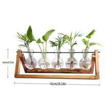 Vaso de vidro hidropônico para flores, decoração criativa para vasos de mesa, plantador suspenso para plantas aéreas e suculentas