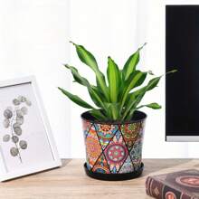 6-calowe kolorowe plastikowe doniczki z podstawkami - zestaw 1/2/3 okrągłych doniczek do kwiatów do wewnątrz/na zewnątrz na sukulenty, zioła, fiołki afrykańskie | Wystrój domu i ogrodu