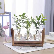 Vaso de vidro hidropônico para flores, decoração criativa para vasos de mesa, plantador suspenso para plantas aéreas e suculentas