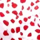 Red and White