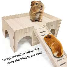 Large Guinea Pig House With Ramp 4 Entrances, Guinea Pig Toy, Guinea Pig Accessories, Rabbit House, 38 X 25 X 18 Cm