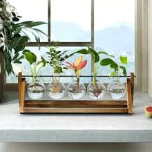 Vaso de vidro hidropônico para flores, decoração criativa para vasos de mesa, plantador suspenso para plantas aéreas e suculentas