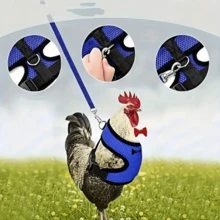 Adjustable Chicken/Duck Harness & Leash For Small Pets, Outdoor Walking Vest Suit - Multicolor - View 2