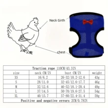 Adjustable Chicken/Duck Harness & Leash For Small Pets, Outdoor Walking Vest Suit - Multicolor - View 10