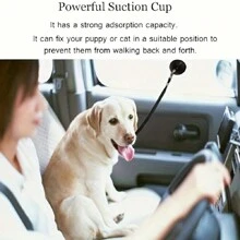 1pc Suction Cup Anchored Dog Bath Restraint, Adjustable Pet Bathing Safety Rope For Cats And Dogs, Suitable For Any Size Pet Grooming Bathtub - Multicolor - View 4