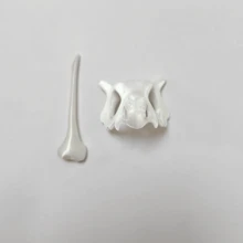 Juego de adornos decorativos hechos a mano: máscara de calavera, lagarto, hámster - Multicolor - Ver 9