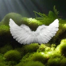 3-Piece Set Angel Wings Decoration, Swallow-Shaped Feathered Wings, Costume Party Props, Holiday Party Wing Decorations, Halloween And Christmas Cosplay Decorations, Best Holiday Gift For Friends And Yourself, Christmas - Multicolor - View 7