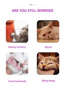 Cat Toys, Octopus Cat Stick Set, Three Section Cat Stick Assembly, Cat Rod, Cat Toys, Kitten Kitten, Kitten, Grind Teeth, Cat Toys, Biting Cat Toys, Playing Interactive Toys - Multicolor - View 6