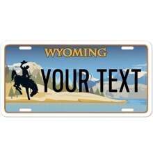 个性化和定制 50 个州的车牌，添加您的定制文本信息徽标，适用于汽车、轻便摩托车、摩托车和自行车的定制车牌。高品质铝制车牌防水防褪色，6x12 英寸，是送给他、她、男朋友、女朋友、爸爸、妈妈、家人、朋友、儿子、女儿、孩子、周年纪念、生日、乔迁、毕业典礼、厨房、餐厅、卧室、办公室、客厅、家庭、花园、茶室的理想礼物 - 彩色 - 查看 10