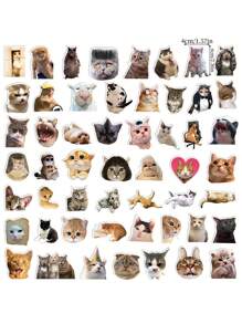 50 piezas Pegatinas realistas y adorables con expresiones de gatitos, decoración creativa para botellas de agua, cuadernos, pegatinas de PVC resistente al agua, diseño no repetitivo, útiles escolares, de vuelta a la escuela