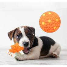 Geschenk für Katzen-/Hundeliebhaber und Liebe der Hunde-/Katzenbesitzer - Latex-Spielzeug in Form eines schreienden, bissresistenten und zähneknirschenden Schweins für Hundeliebhaber und Hundebesitzer, Katzen-/Hundeliebhaber-Geschenk und Liebe der Hunde-/Katzenbesitzer - Latex-Soundspielzeug in Form eines lockigen Schweins