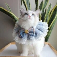 Obroża dla kota z koronką, ręcznik do śliny dla psa, obroża dla kota i psa, brytyjska krótka obroża dla lalek, pasterski sprzęt dla zwierząt, Boże Narodzenie, ozdoby świąteczne