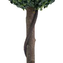 24/35 Inch Artificial Topiary Trees Set Of 2, Fake Topiary Boxwood Ball Tree, Faux Shrubs Plants Green Decor Indoor Porch,Garden - 24 inch - Xem 5