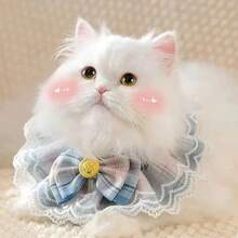 Obroża dla kota z koronką, ręcznik do śliny dla psa, obroża dla kota i psa, brytyjska krótka obroża dla lalek, pasterski sprzęt dla zwierząt, Boże Narodzenie, ozdoby świąteczne