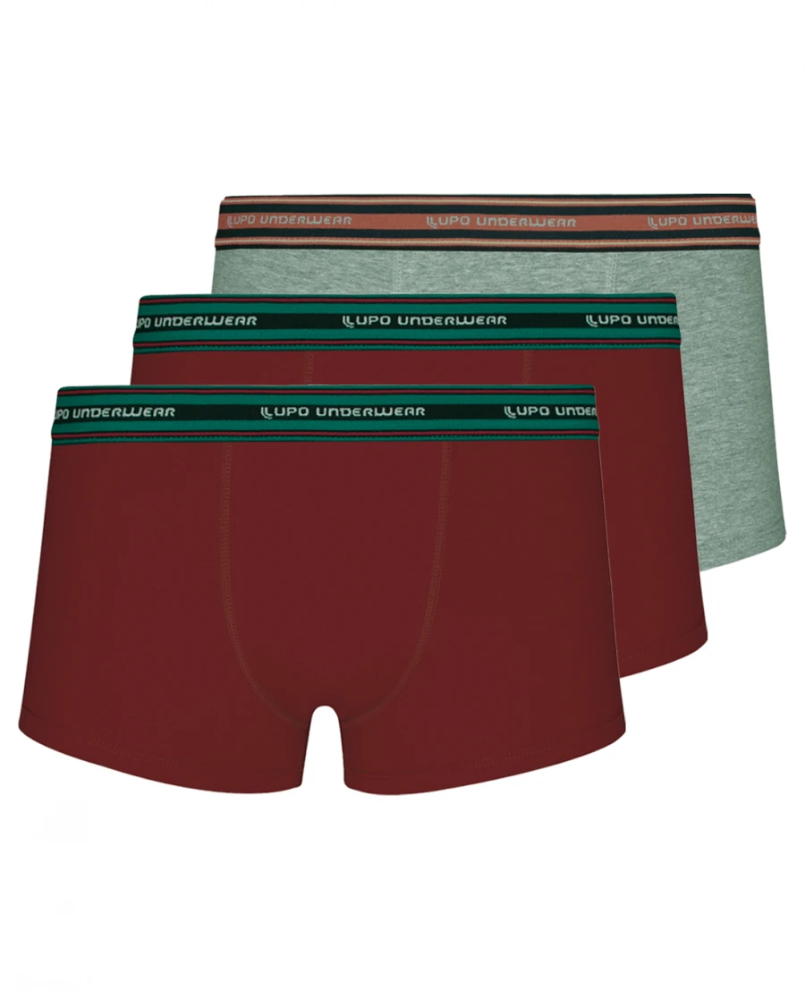 Kit With 3 Lupo Swim Briefs 460-003 - Grey - View 1