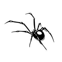 Adesivo aranha caminhão carro tanque de moto sticker/tuning - Preto - Visão 1