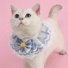 Obroża dla kota z koronką, ręcznik do śliny dla psa, obroża dla kota i psa, brytyjska krótka obroża dla lalek, pasterski sprzęt dla zwierząt, Boże Narodzenie, ozdoby świąteczne