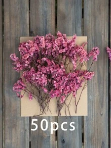 50/100/300 بوكيه زهور قرنفل صغيرة زهرية أشكال و تنظيمات زهور القرنفل العاجي لإكسسوارات الزفاف والزهور لتزيين المنزل والمكتب والحفلات والحديقة وصنع البطاقات والديكور DIY