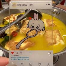 Sanrio 1pc Kii Usachi Same Style Transparent Card Ins Style Cute Eating Grain Check In Creative Photo Decoration Gift