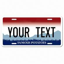 个性化和定制 50 个州的车牌，添加您的定制文本信息徽标，适用于汽车、轻便摩托车、摩托车和自行车的定制车牌。高品质铝制车牌防水防褪色，6x12 英寸，是送给他、她、男朋友、女朋友、爸爸、妈妈、家人、朋友、儿子、女儿、孩子、周年纪念、生日、乔迁、毕业典礼、厨房、餐厅、卧室、办公室、客厅、家庭、花园、茶室的理想礼物 - 彩色 - 查看 15