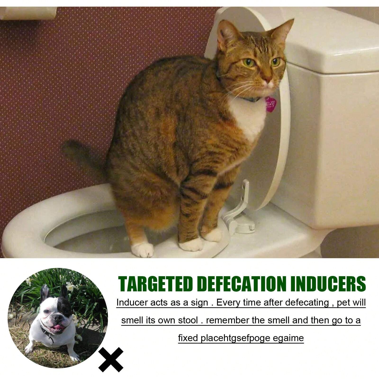 Pet cats and dogs defecation positioning inducer pee and defecate fixed