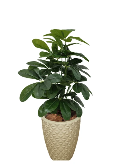 Planta Schefflera Artificial Folhas Grandes Realista + Vaso Bege