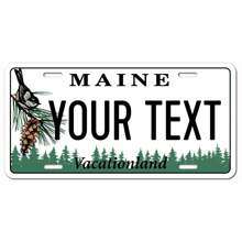 个性化和定制 50 个州的车牌，添加您的定制文本信息徽标，适用于汽车、轻便摩托车、摩托车和自行车的定制车牌。高品质铝制车牌防水防褪色，6x12 英寸，是送给他、她、男朋友、女朋友、爸爸、妈妈、家人、朋友、儿子、女儿、孩子、周年纪念、生日、乔迁、毕业典礼、厨房、餐厅、卧室、办公室、客厅、家庭、花园、茶室的理想礼物 - 彩色 - 查看 43