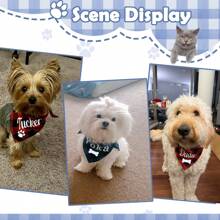 1PC spersonalizowana chustka dla psa haftowana nazwa niestandardowa chusta na szyję szalik dla psa trójkątne śliniaki chustka akcesoria do kostiumów dla zwierząt domowych dla małych średnich dużych psów kotów zwierząt domowych prezent urodzinowy
