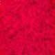 Cherry Sorbet